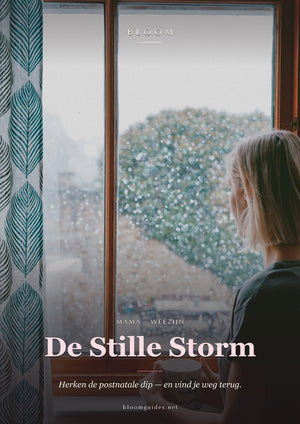 De Stille Storm — Bloom e-book cover