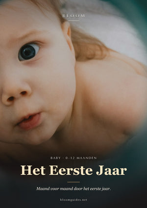 Het Eerste Jaar — Bloom e-book cover