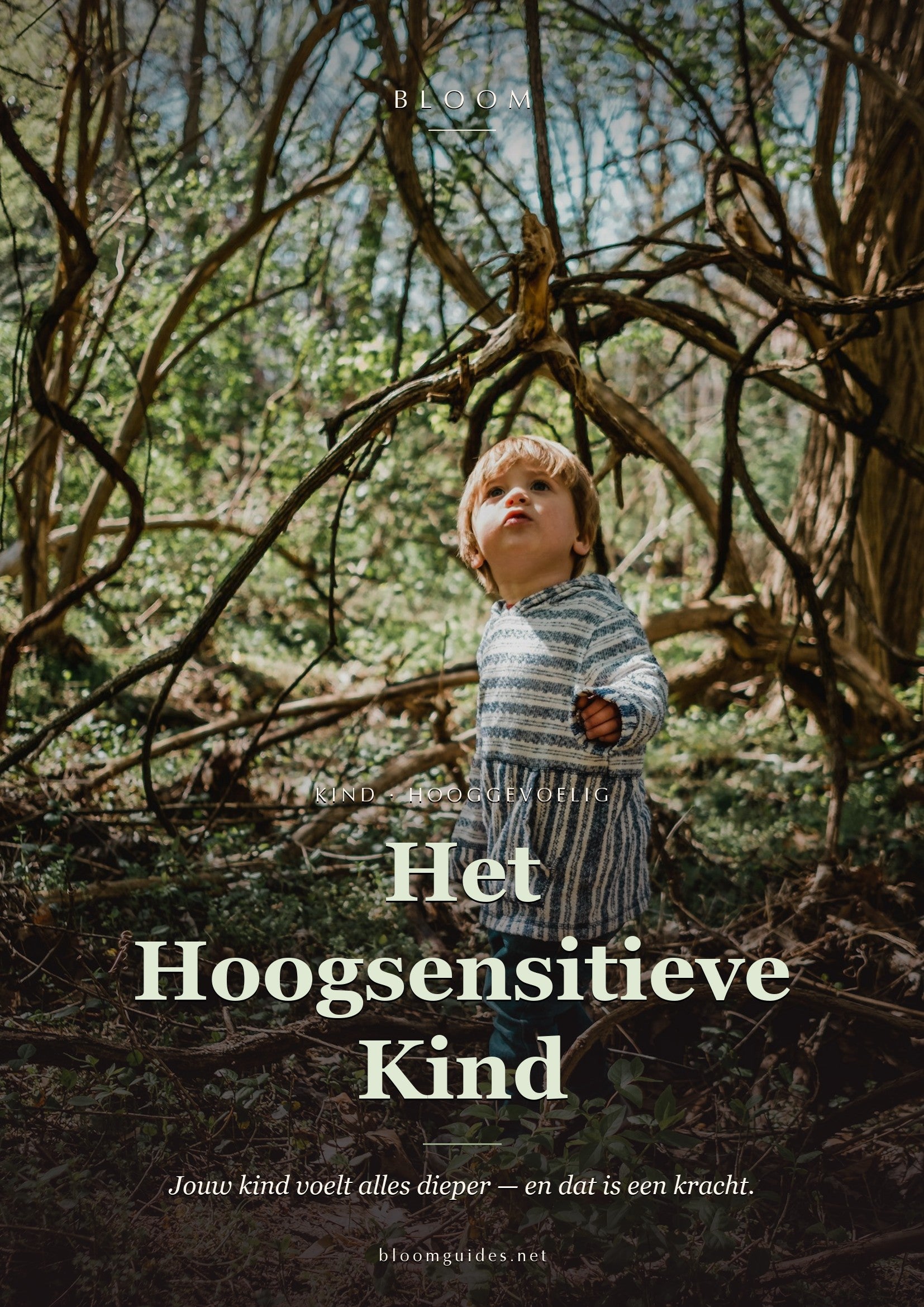 Het Hoogsensitieve Kind — Bloom e-book cover