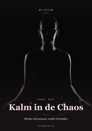 Kalm in de Chaos — Bloom e-book cover