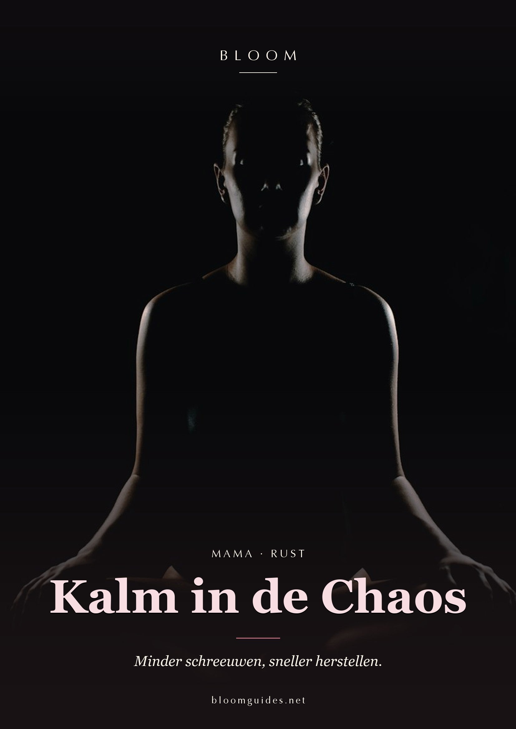 Kalm in de Chaos — Bloom e-book cover