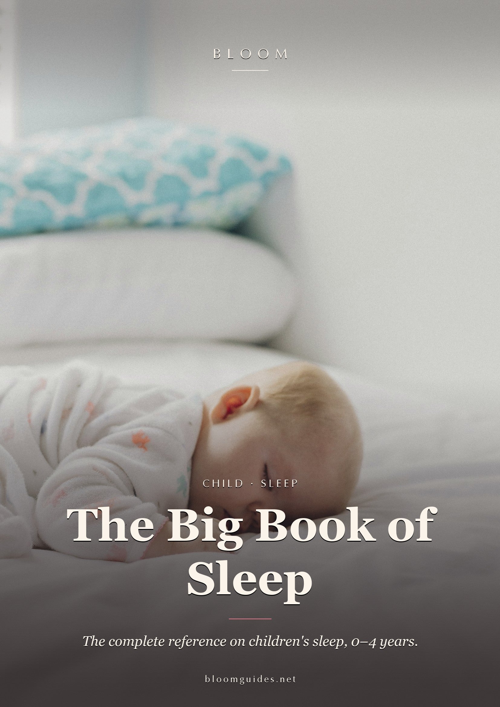 The Big Book of Sleep — Bloom