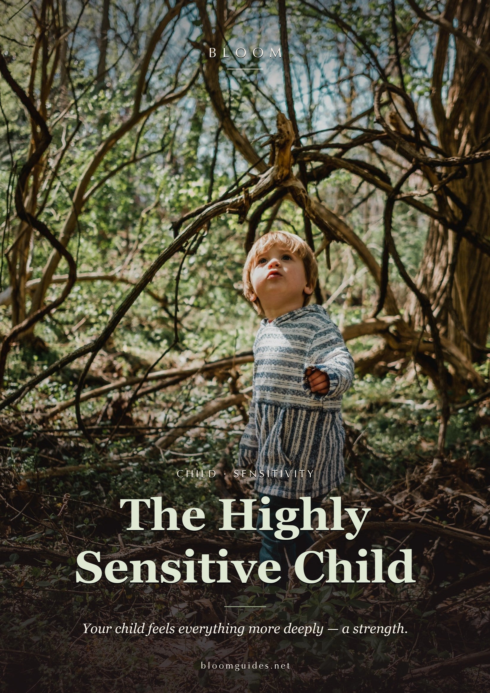 The Highly Sensitive Child — Bloom